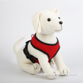 Adjustable Breathable Harness with Leash Set for Dog